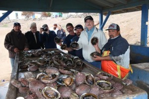 Isla Guadalupe2