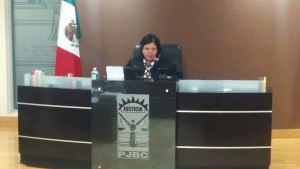 Juez Ana María Elías