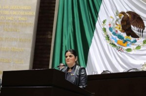 Diputada Federal Cynthia Gissel García Soberanes
