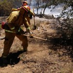 forestal1