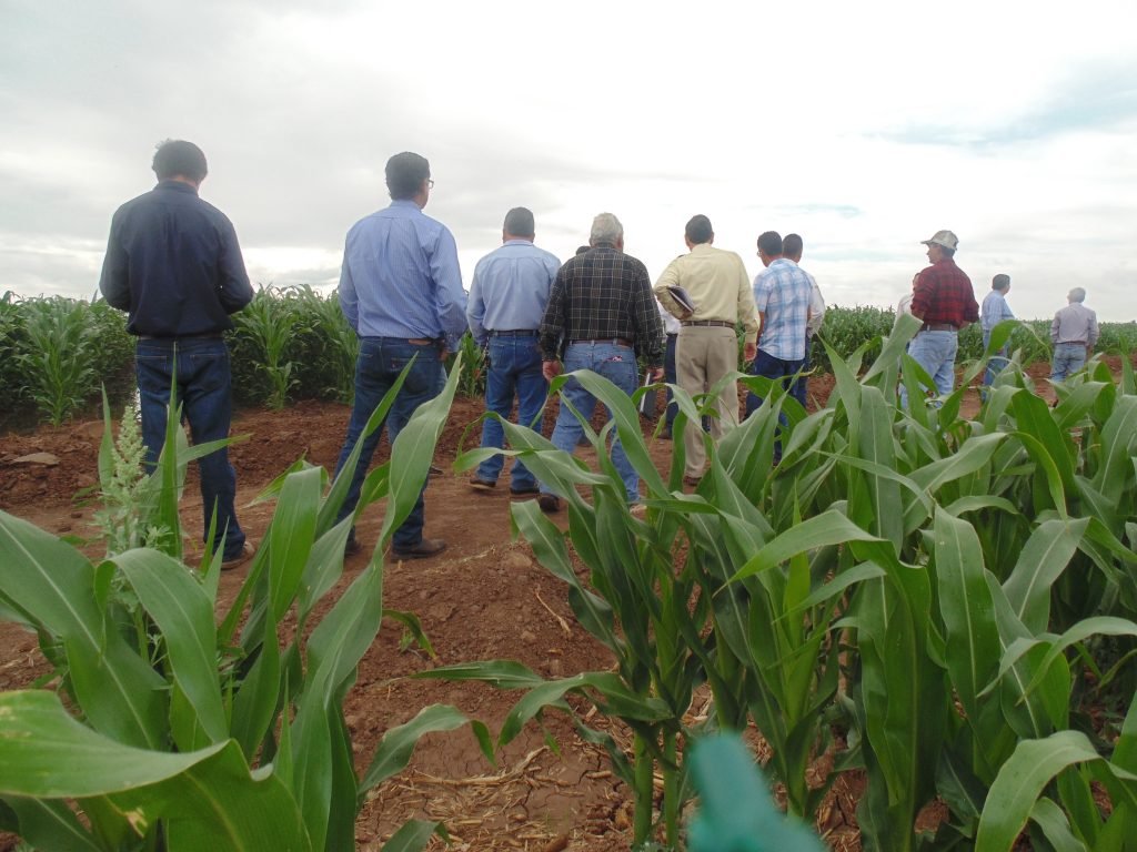 El 15 de abril vencerá el plazo para que los Productores soliciten el apoyo de Servicios de Extensionismo: SAGARPA