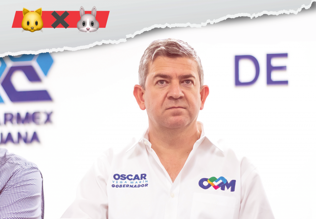 Promete Vega pasto sintético en canchas de BC; falta estimar presupuesto #GatoXLiebre