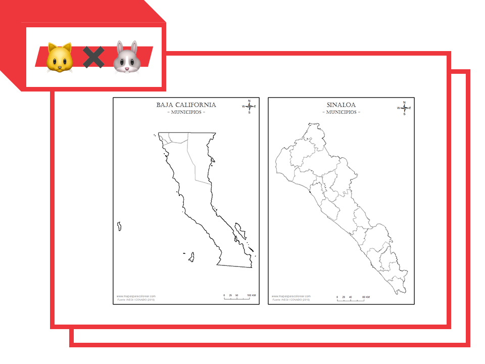 Foráneos elegirán quién gobernará Baja California #GatoXLiebre