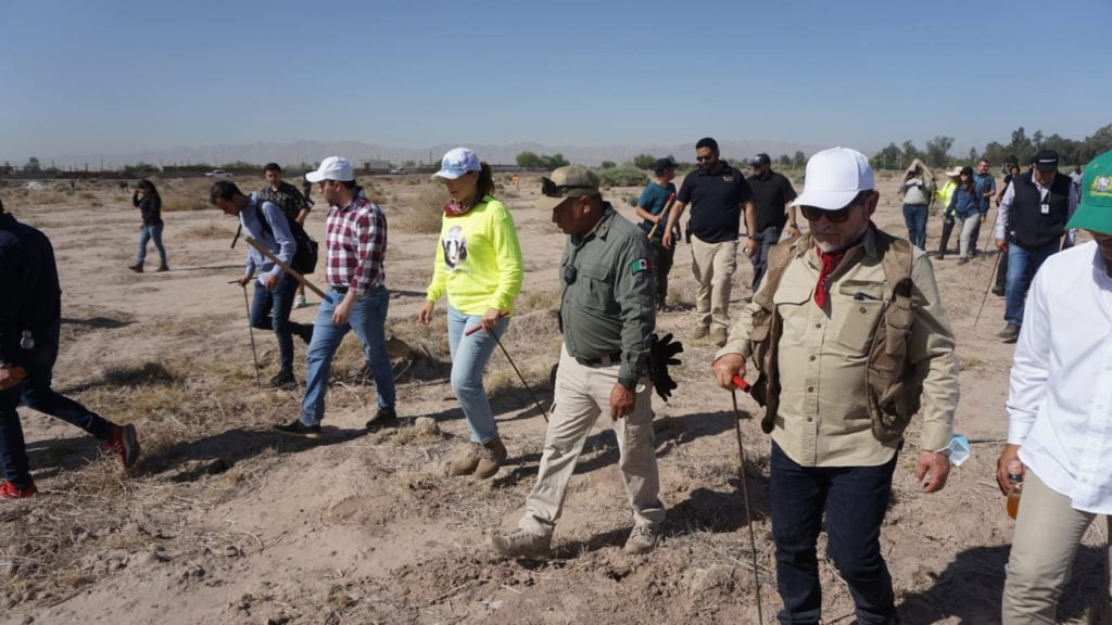 Asiste gobernadora a brigada de búsqueda de desaparecidos en Mexicali brigada de búsqueda de desaparecidos