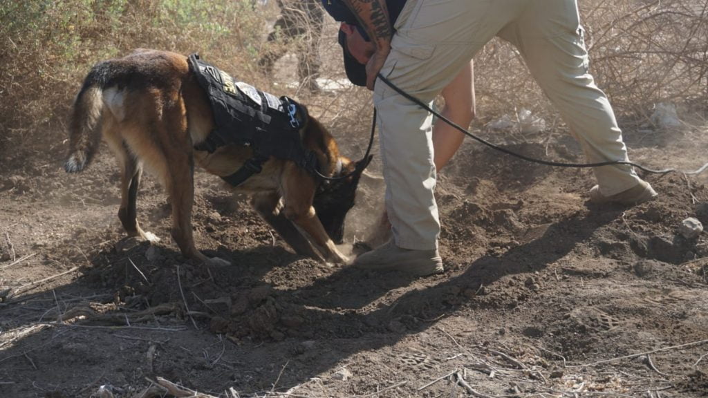 personas no localizadas desaparecidos