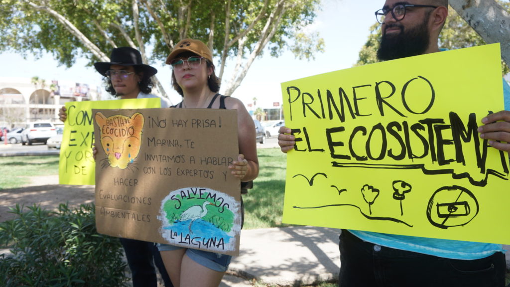 Manifestantes a favor de la Laguna México