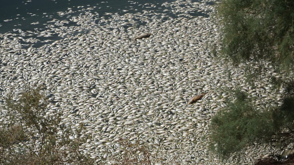 vuelco térmico en laguna méxico