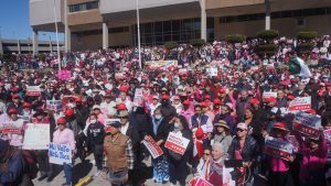 manifestación contra Plan B