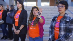 Madres Unidas Contra la Violencia Vicaria