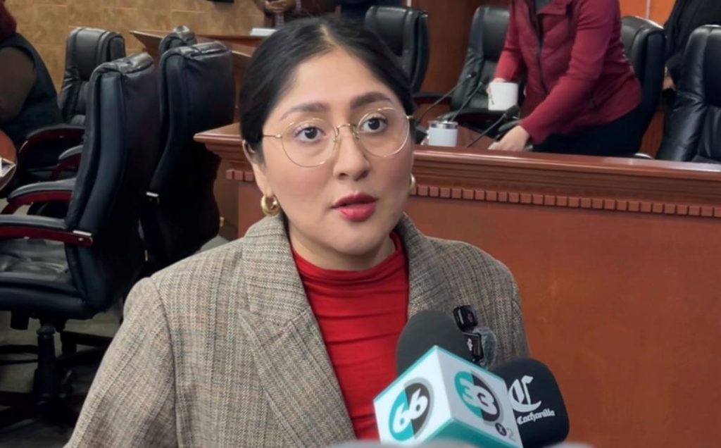 Proponen crear brigadas violetas para detectar violencia de género