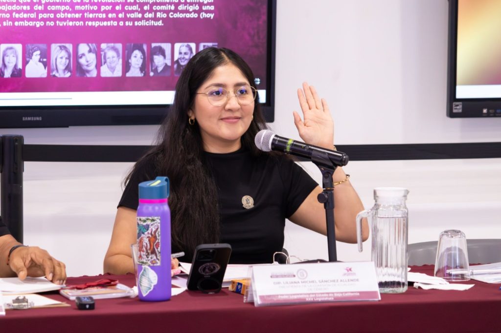 Exhorta Congreso de BC presupuestar en materia de perspectiva de género, iniciativa de Dip. Michel Sánchez