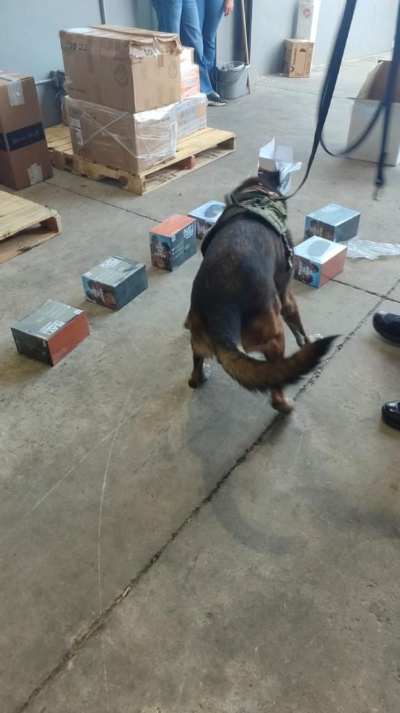 Agente canino detecta vapeadores en vez de bocinas en paquetería de Mexicali