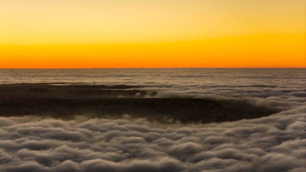 Densa neblina vuelve a cubrir Tijuana y afecta operaciones aéreas