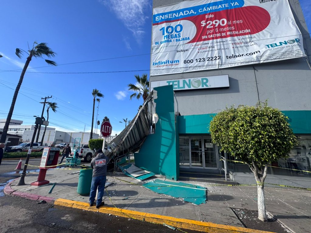 Ensenada recibe los fuertes vientos con caídas de árboles y postes
