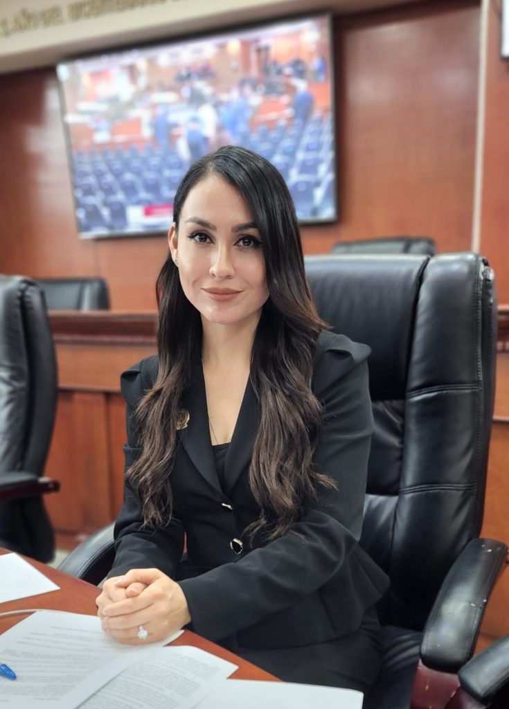 Pide Diputada padrón de vehículos irregulares en Baja California