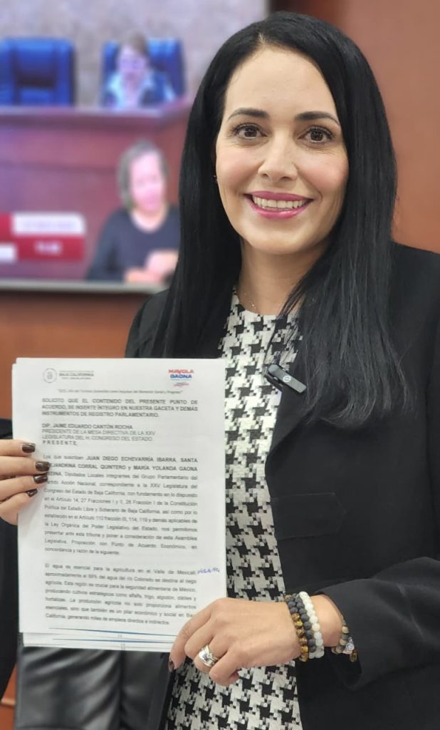 Solicita Dip. Mayola Gaona elaborar presupuesto de egresos con análisis exhaustivo de ejercicios anteriores