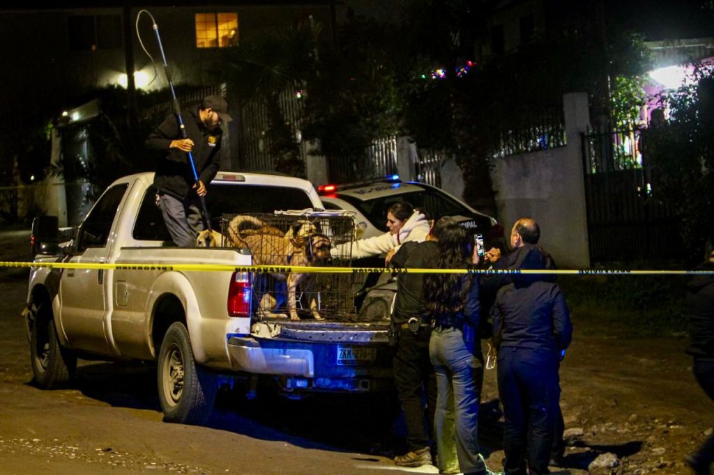 Menor de 4 años resulta gravemente herido tras ataque de perros en el Ejido Matamoros