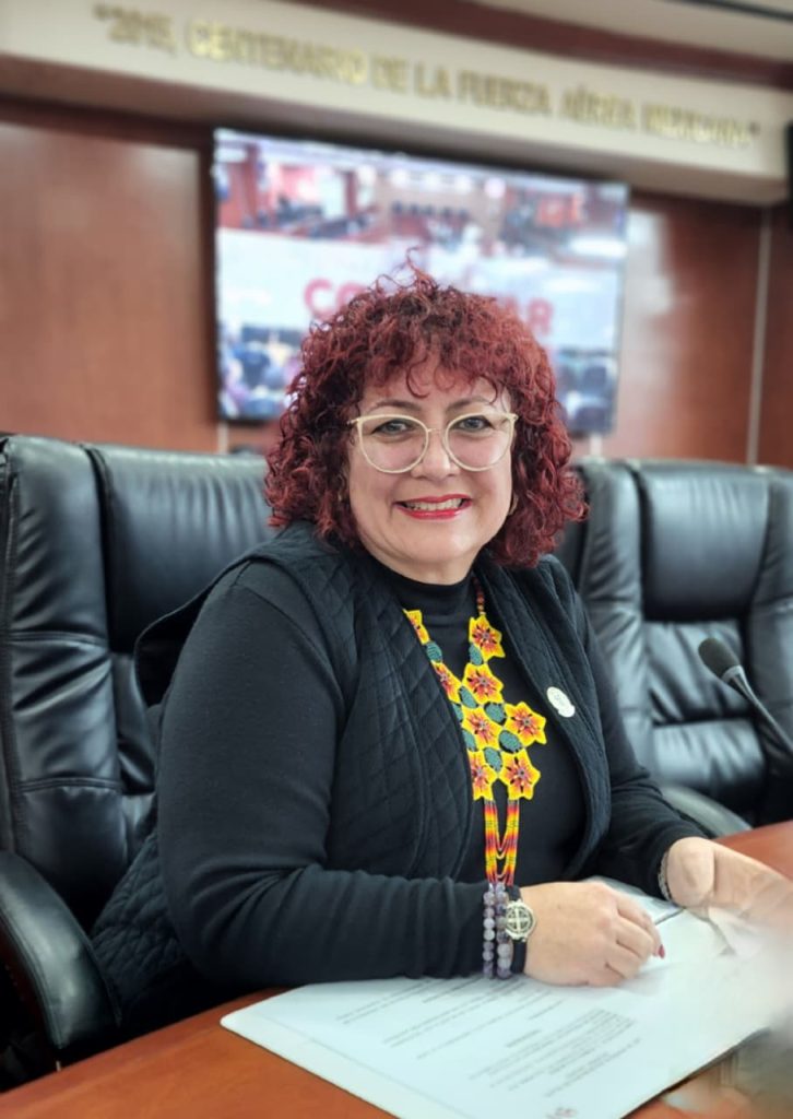 Dip. Maythé Méndez propone que toda iniciativa sea visible en sitio oficial del Congreso BC