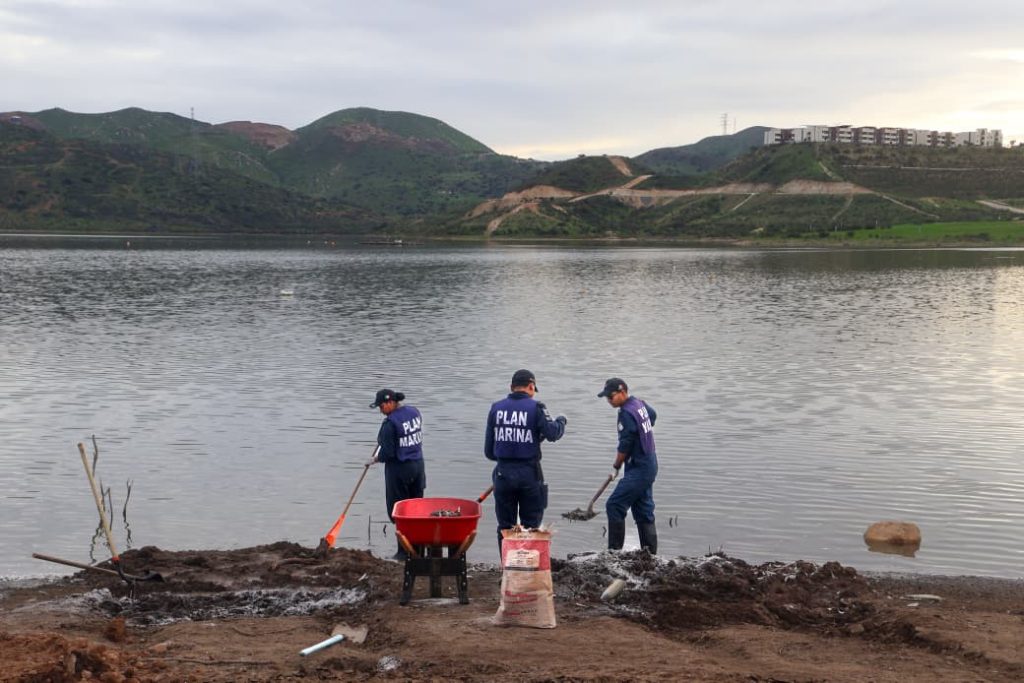 «Vuelco térmico» causa de muerte de miles de peces en presa de Tijuana