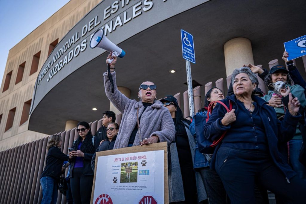 “La justicia sin cárcel, no es justicia”: activistas alzan la voz por “El Chato”