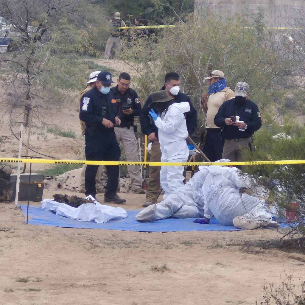 8 fosas y 18 cuerpos, van por más, zona de exterminio en parque Pronatura #EjidoMiguelAlemán #Mexicali