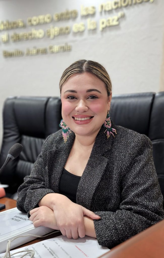 Pide Dip. Michellle Tejeda rehabilitación de la Calzada Heroica Puebla, Oriente de Mexicali