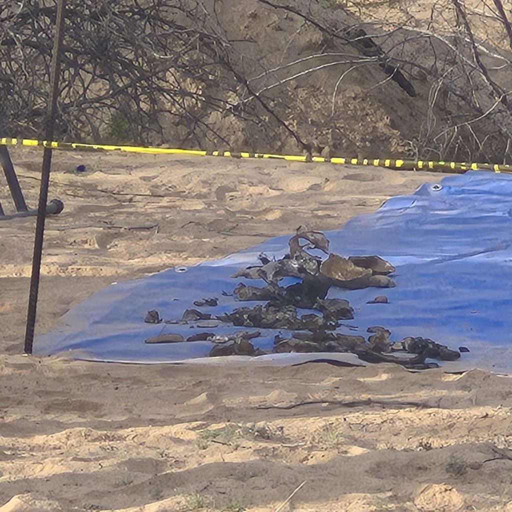 Pide Marina del Pilar mayor profundidad de investigación zona de fosas en el Valle de Mexicali