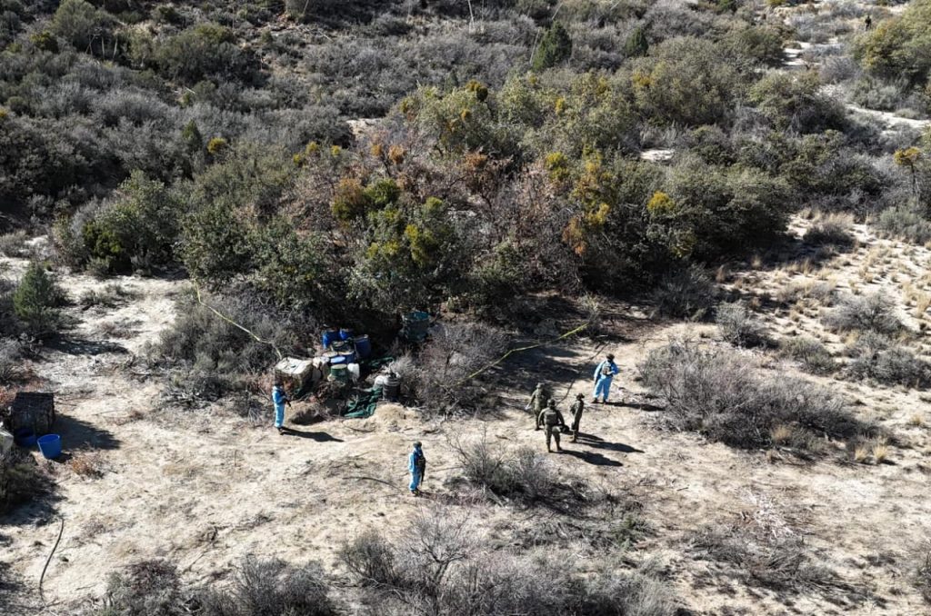 Destruyen laboratorio de drogas en Ensenada, van 9 destruidos en un año