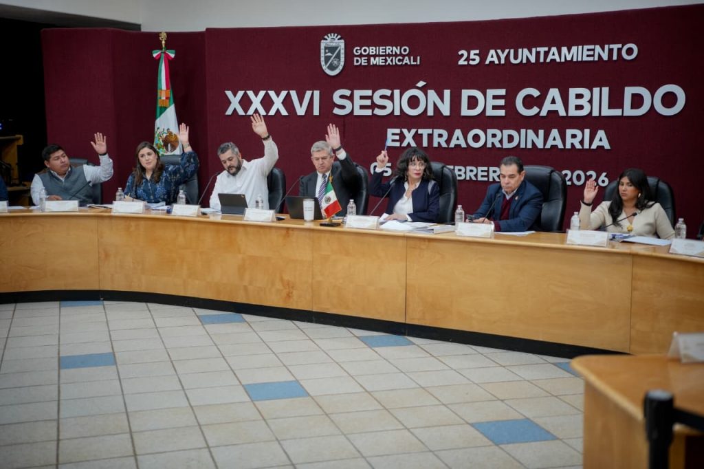 Padrón de violencia familiar y protocolo de protección víctimas/neurodivergentes: Cabildo de Mexicali