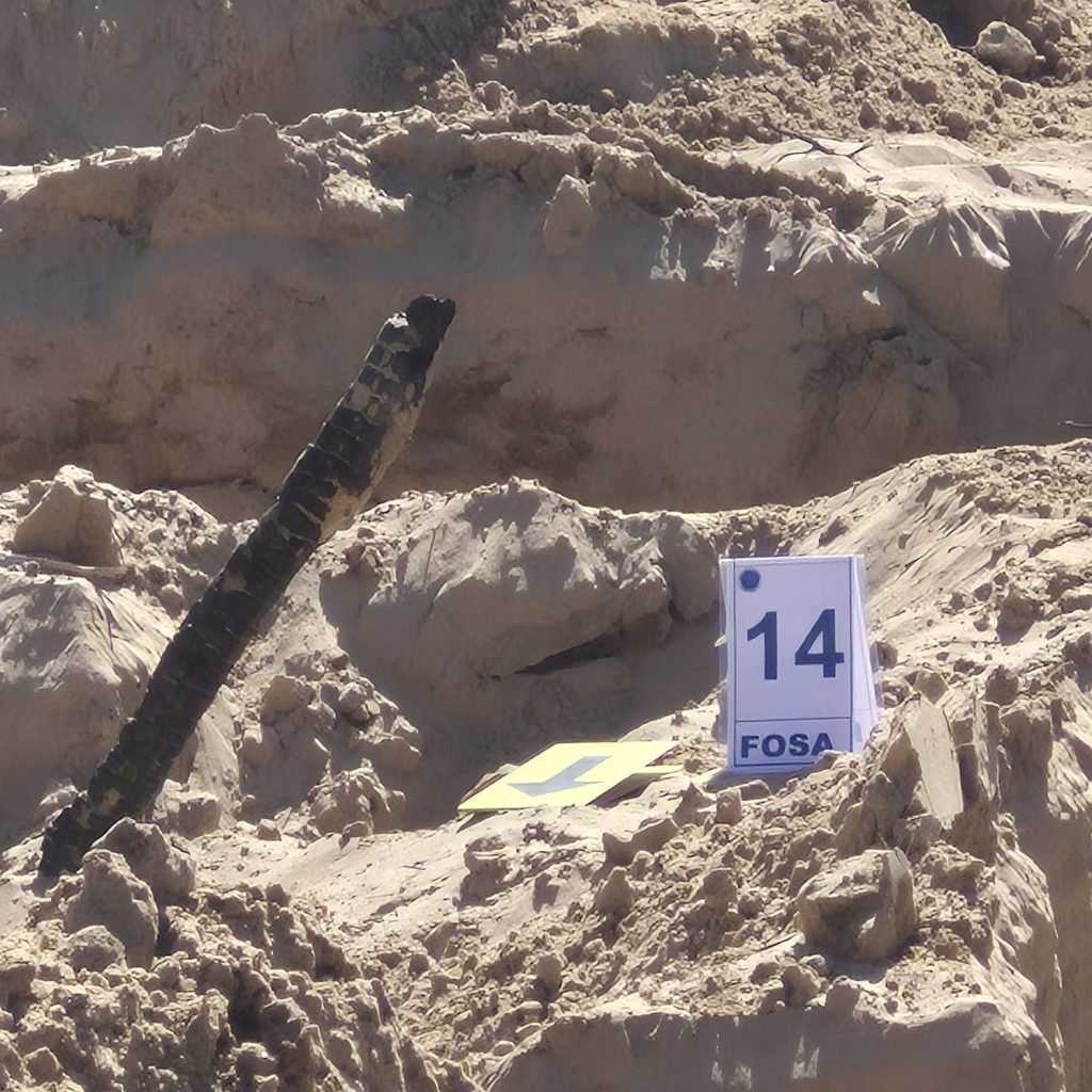 ¡28 víctimas en 14 fosas! Un mes de excavaciones y aún faltan más