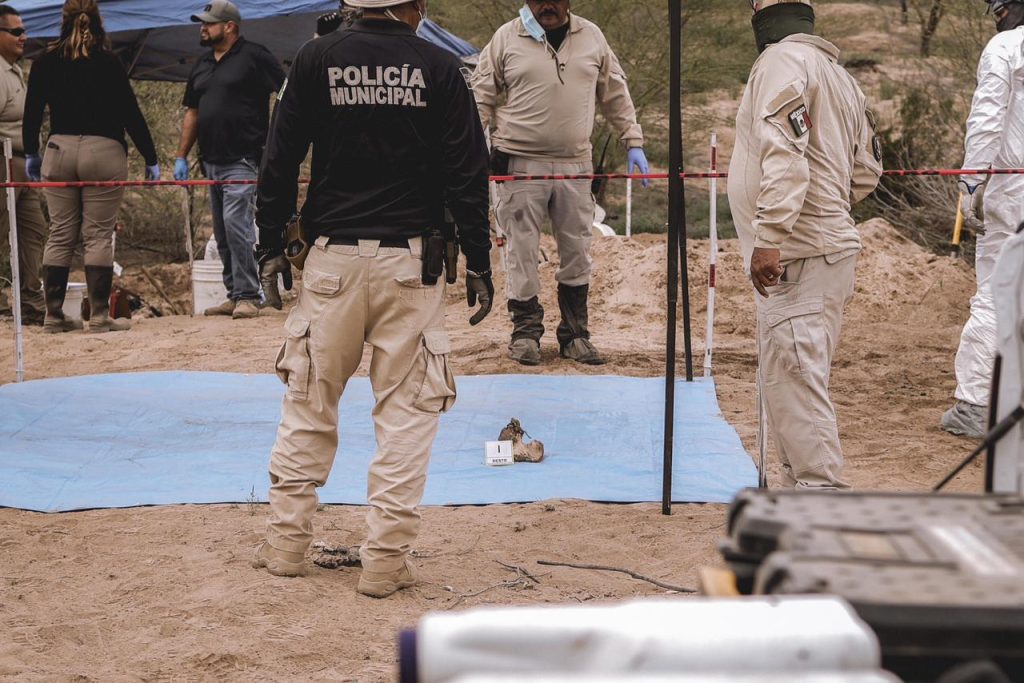 Fosa #16 con el cuerpo 33: búsqueda de desaparecidos en Miguel Alemán