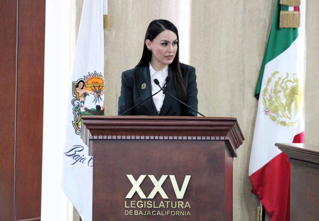 Dip. Yohana Gilvaja llama frenar reclutamiento para trata de niñas y adolescentes en BC