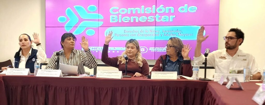 Avanza en Comisión de Bienestar dictámenes para protección infantil y justicia social