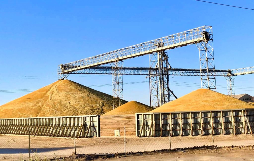 Pagados $230 MDP a productores de Trigo Panificable del Valle de Mexicali Baja California: AGRICULTURA