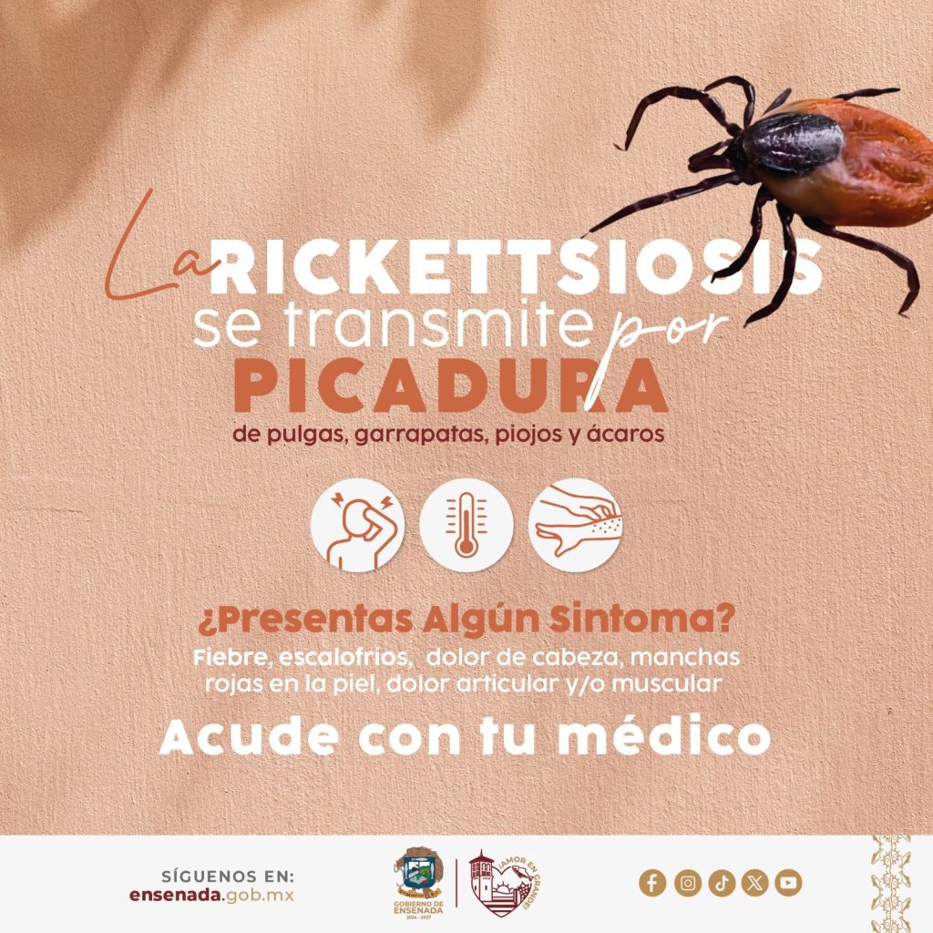 Muere niña de 8 años en Ensenada por rickettsiosis