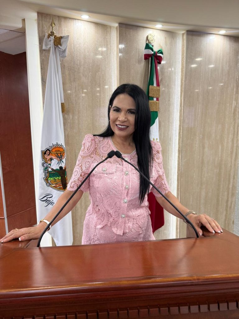 Exhorta Congreso BC mantener tarjeta de circulación impresa, adicional a la digital