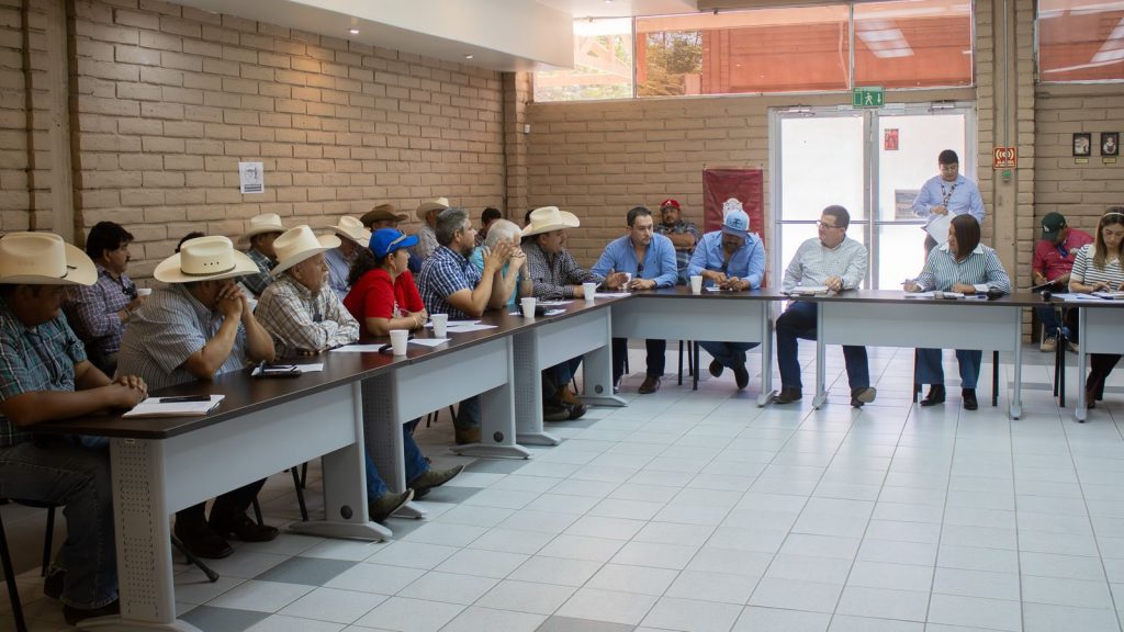 Productores de alfalfa de Mexicali recibieron más de 30 MDP en créditos del Gobierno