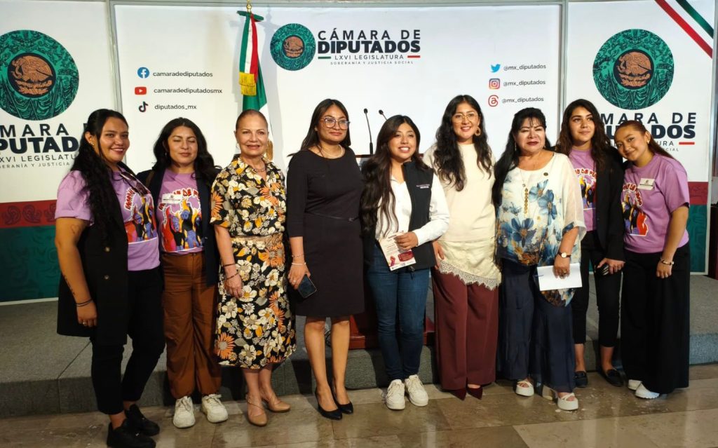 Participa Dip. Michel Sánchez en agenda legislativa federal sobre justicia con perspectiva de género