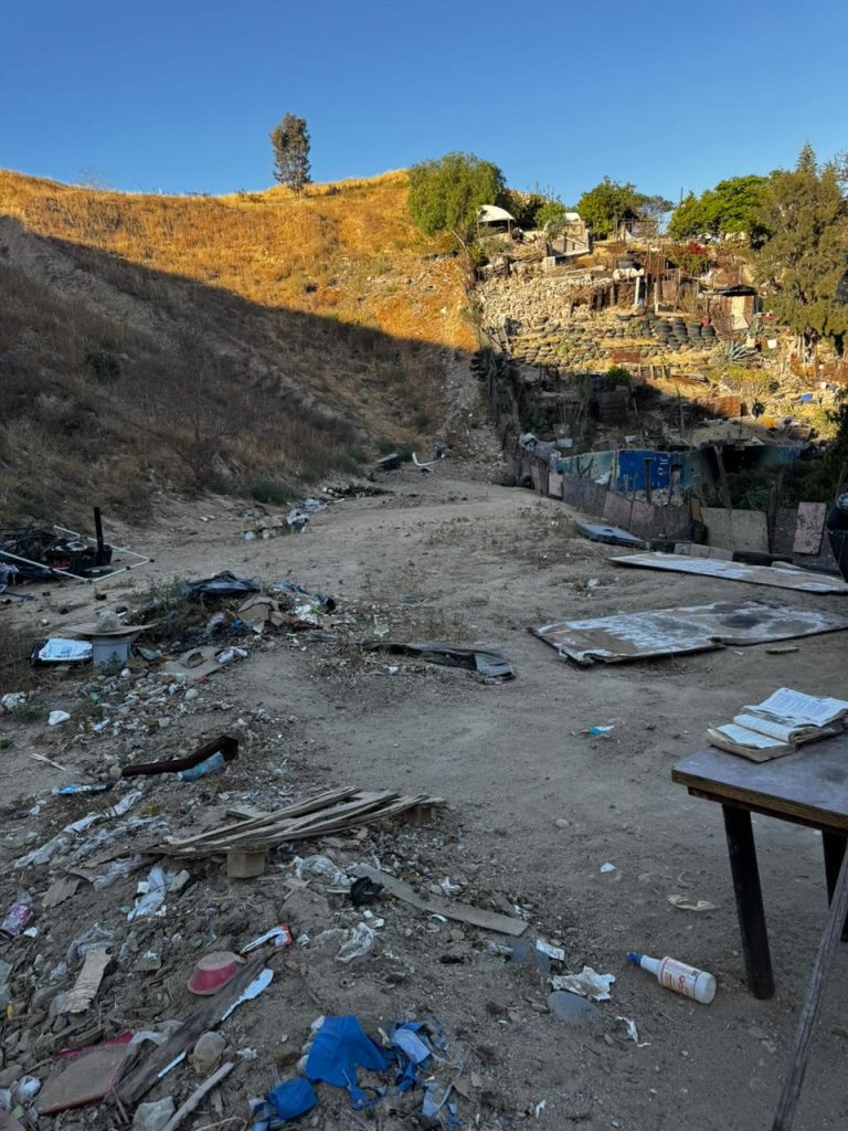 15 perros rescatados en Tijuana, estaban en condiciones críticos durante cateo por maltrato animal