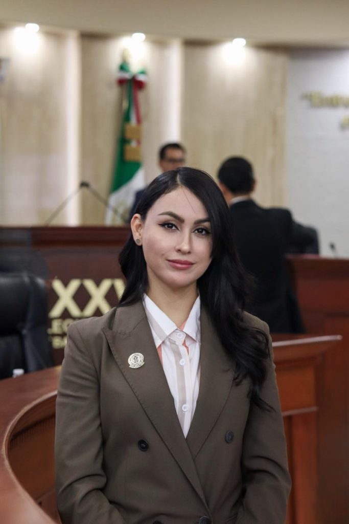 Reclama Dip. Yohana Gilvaja instalación de puentes peatonales en el bulevar 2000