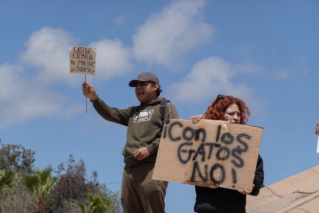Exigen justicia por presunto caso de maltrato animal en Tijuana