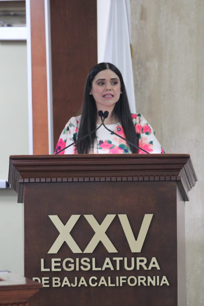 Dip. Daylín García exige investigaciones y depuración del gobierno frente al crimen organizado