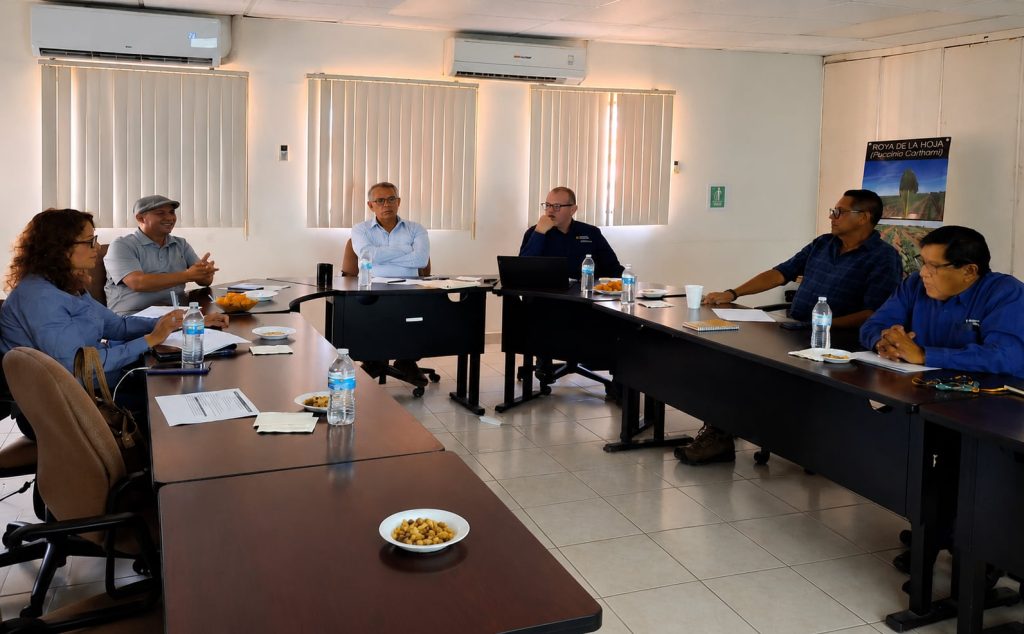Integran a grupo especial por baja producción triguera en el Valle de Mexicali