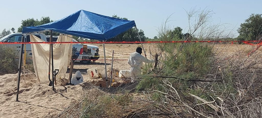 Aumenta cifra de cuerpos en parque Pronatura, Valle de Mexicali