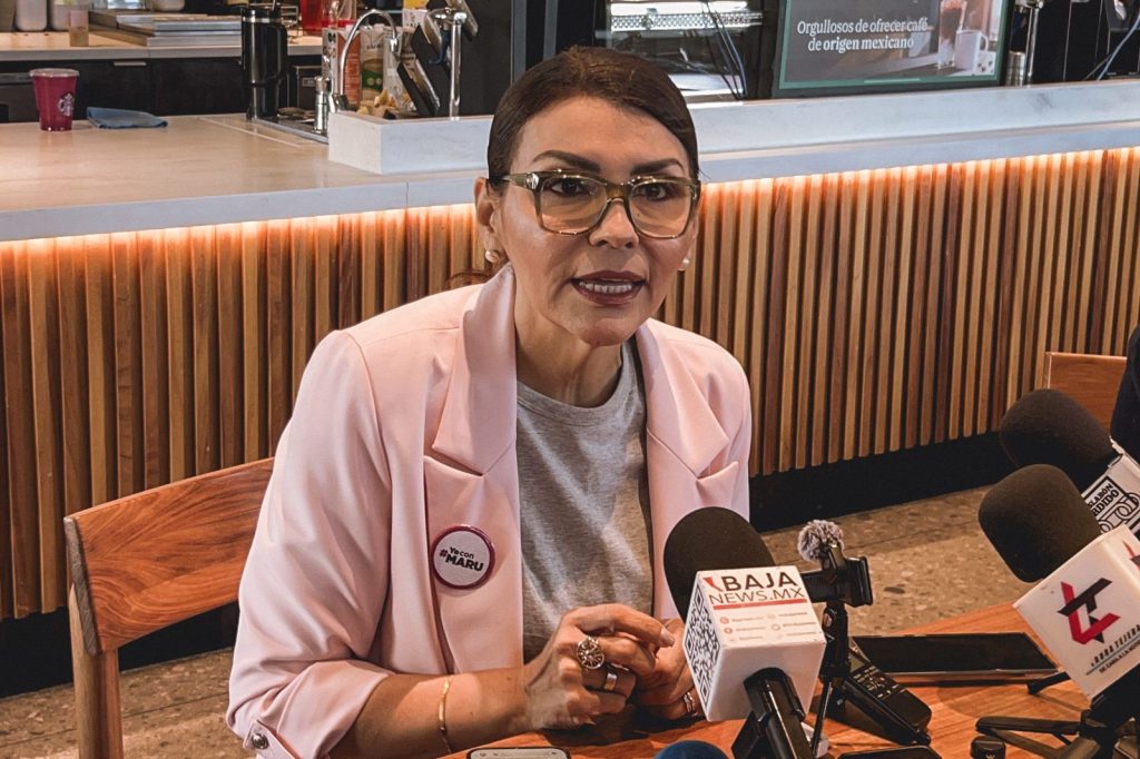 Detalla reformas del Poder Judicial diputada federal Eva María Vázquez