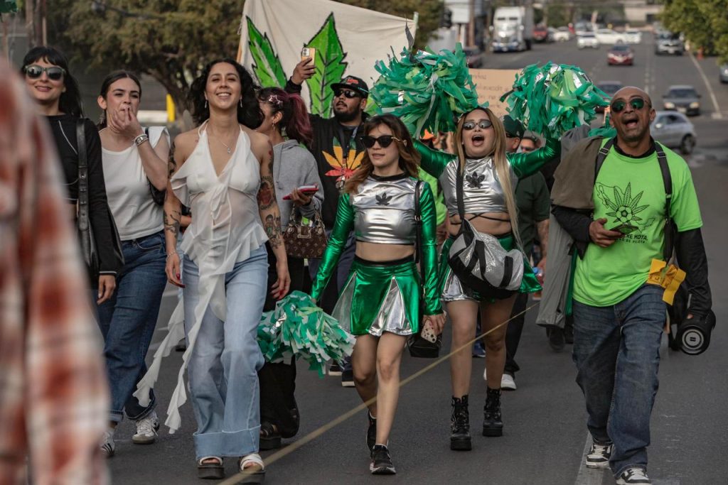 Tijuana se suma a la marcha mundial por la legalización de la cannabis