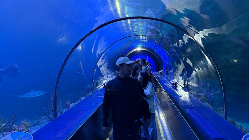Shark Encounter reabre sus puertas en SeaWorld San Diego este 22 de mayo