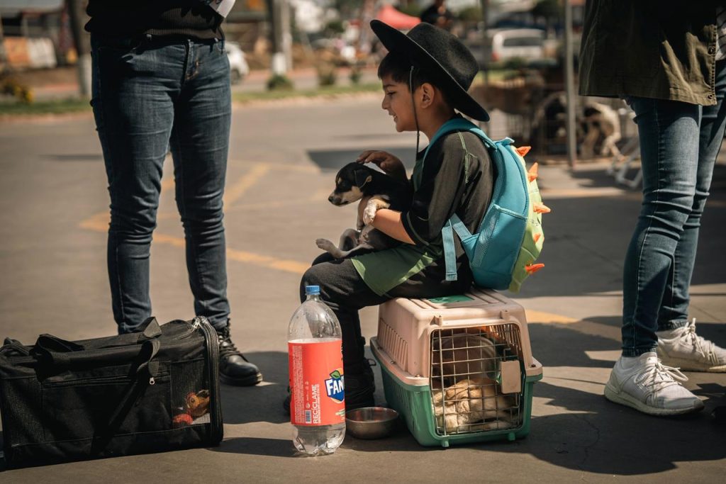 Realizan feria de adopción y vacunación en Playas de Rosarito