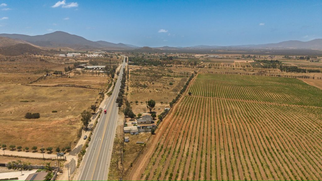 Buscan reactivar economía del Valle de Guadalupe con regreso de conciertos