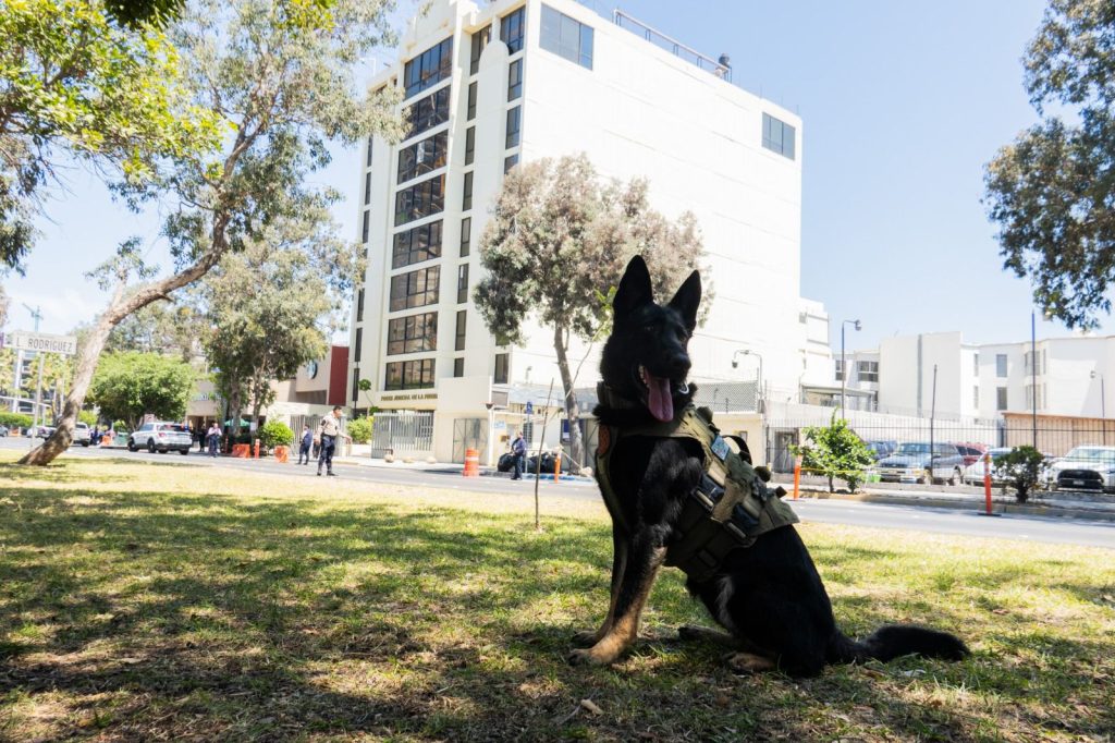 Desalojan edificio del Poder Judicial Federal en Tijuana por presunta amenaza de bomba